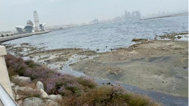 Xəzərin sahillərinin çəkilməsinin ŞOK SƏBƏBİ – Rusiyalı alimlərdən mühüm araşdırma