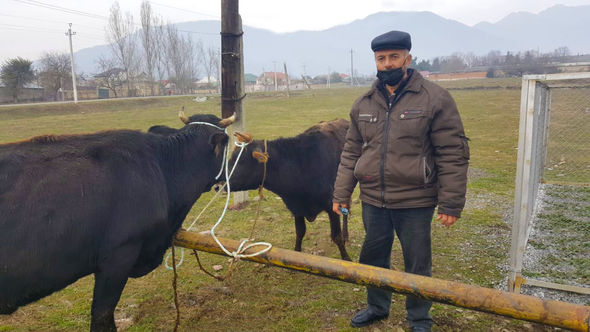 Oğuz və Qəbələdə şəhid ailələri və qazilər üçün təsərrüfatlar yaradıldı - FOTO
