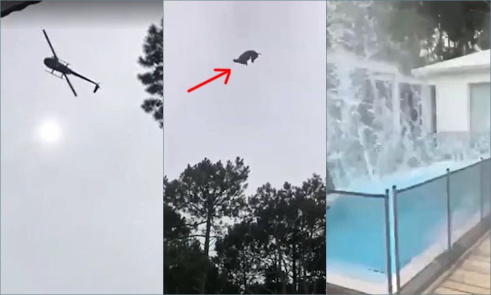 Milyonçunun hovuzuna helikopterdən heyvan atdılar – VİDEO