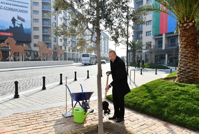 Prezident Ağ Şəhərdə görülən işlərlə tanış oldu - FOTOLAR