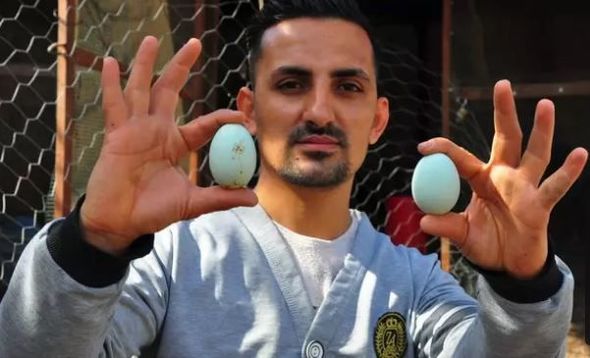 Türkiyəli fermer mavi yumurtanın birini 10 dollardan satır - FOTO
