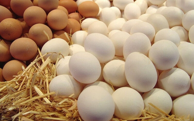 Rosselxoznadzor': Azərbaycandan Rusiyaya 29,3 milyon yumurta tədarük edilib