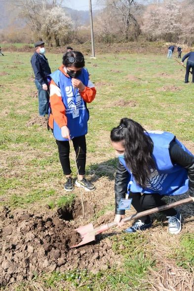 "Yaşıl Marafon" layihəsi üzrə ağacəkmə aksiyaları uğurla davam edir - FOTO