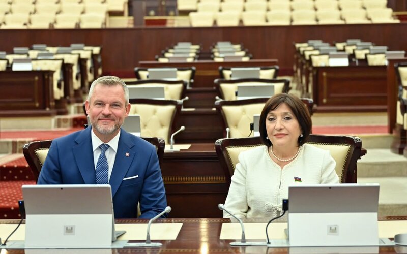 Sahibə Qafarova Pelleqrini ilə görüşüb - Foto