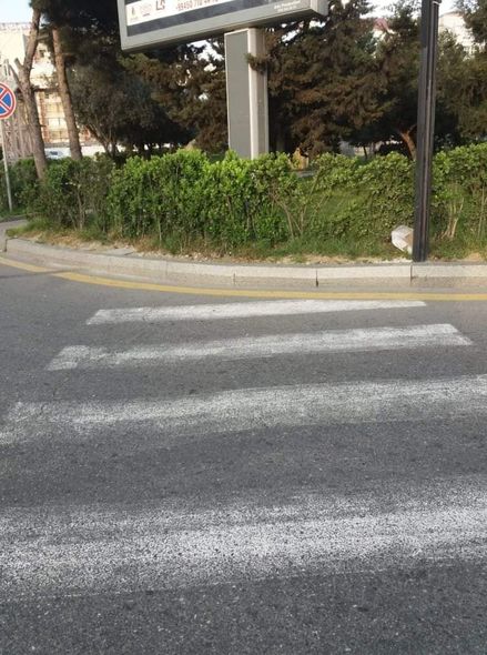 Bakıdakı qeyri-adi piyada keçidi ilə bağlı qurumlar hərəkətə keçdi - FOTO