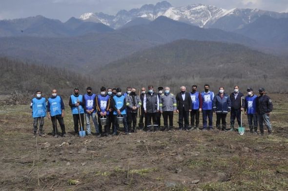 "Yaşıl Marafon" layihəsi üzrə ağacəkmə aksiyaları uğurla davam edir - FOTO