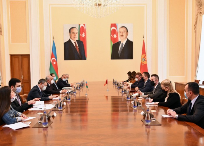 Baş nazir Monteneqro parlamentinin sədri ilə görüşdü