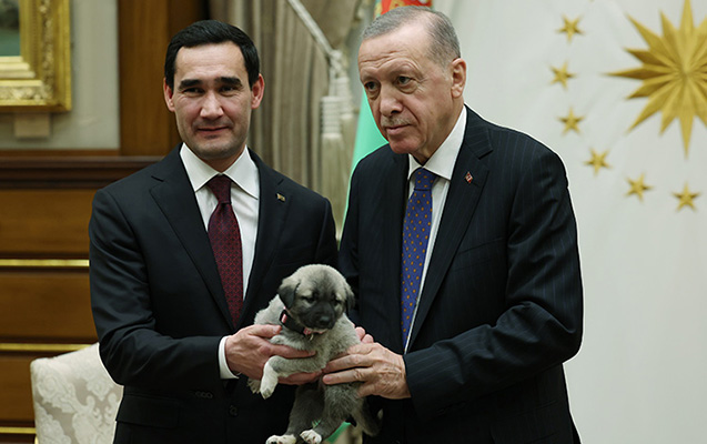 Prezidentlər niyə bir-birinə it hədiyyə etdi? - FOTOLAR