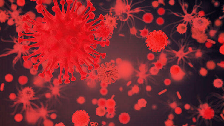 Dünya ŞOKDA: daha bir epidemiya yayıldı