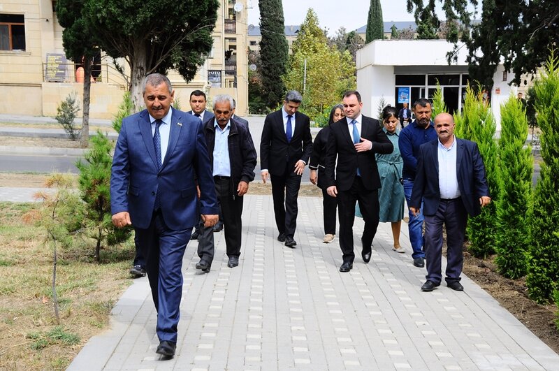 Naftalanda Anım Günü ilə əlaqədar ağacəkmə aksiyası keçirilib - FOTOLAR