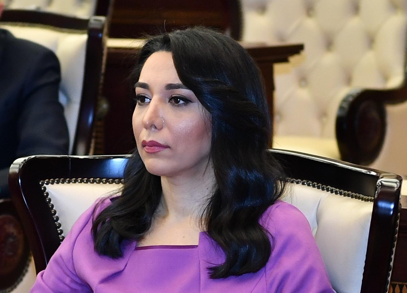 Ombudsman Ermənistanın təxribatı ilə bağlı beynəlxalq təşkilatlara hesabat göndərdi