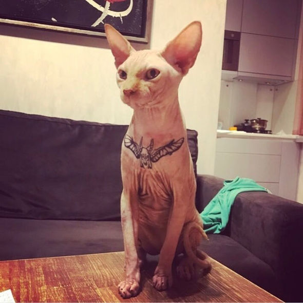 Məşhur bloqer paylaşımına görə sərt tənqid olundu - FOTO