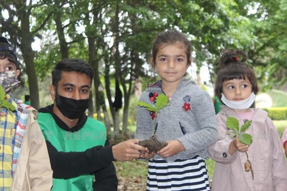 Biləsuvarda "1001 palıd" layihəsi icra edilib - FOTO