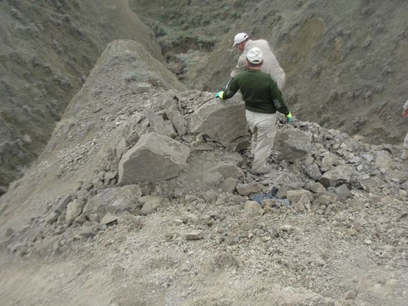 ANAMA bəzi rayonlarımızda tapılan raket və mərmi qalıqları ilə bağlı məlumat yaydı - FOTO