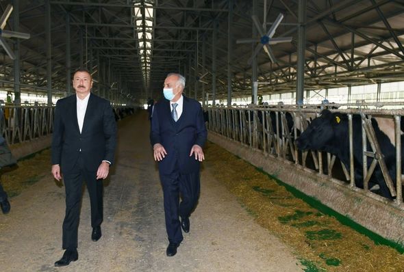 Prezident Hacıqabulda aqroparkın açılışında iştirak etdi - FOTO/VİDEO