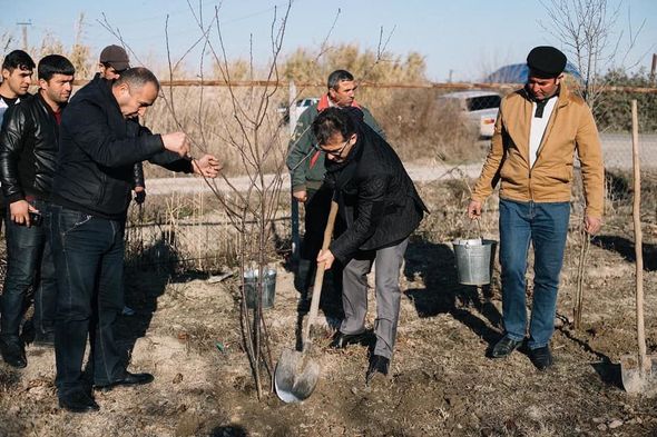 Ramin Məmmədov Sabirabadda ağacəkmə aksiyasında iştirak edib - FOTO