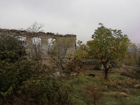 Vətən bizim üçün darıxmışdı