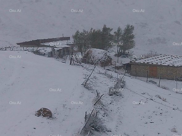 Qubanın dağ kəndlərinə güclü qar yağır - FOTO