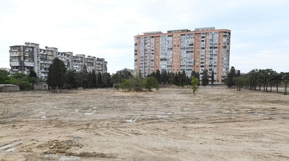İlham Əliyev və Mehriban Əliyeva meşə tipli yeni parkda görüləcək işlərlə tanış olublar - FOTO