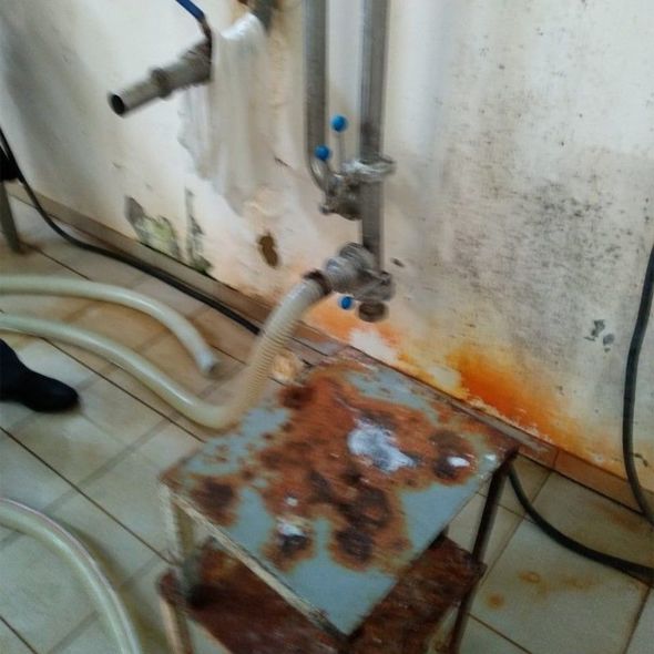 Qaxda antisanitar şəraitdə fəaliyyət göstərən süd məhsulları istehsalı müəssisəsi aşkarlanıb – FOTO