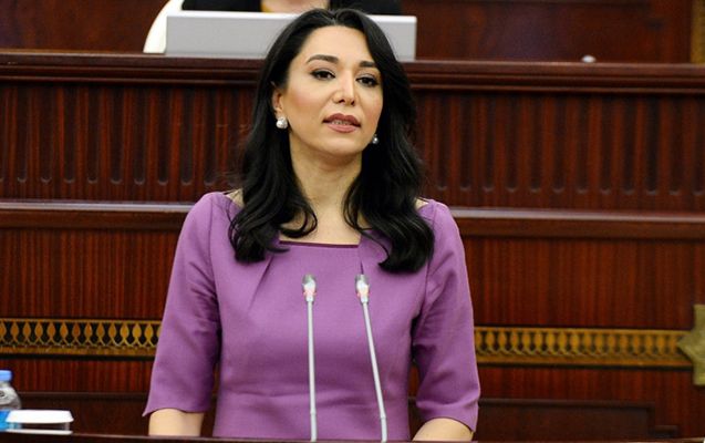 Ombudsman növbəti erməni təxribatına dair beynəlxalq təşkilatlara müraciət edib