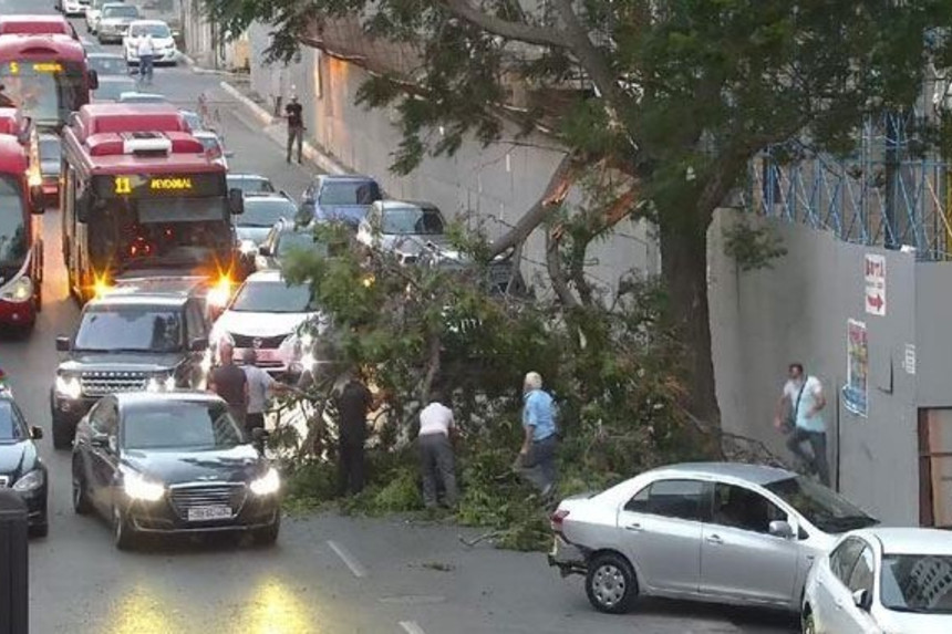 Bakıda külək agacı yola asırıb