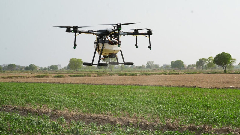 Torpağa gübrə veririk, bəs bitki niyə qidalanmır? – Qışa hazırlığın əsas sualı