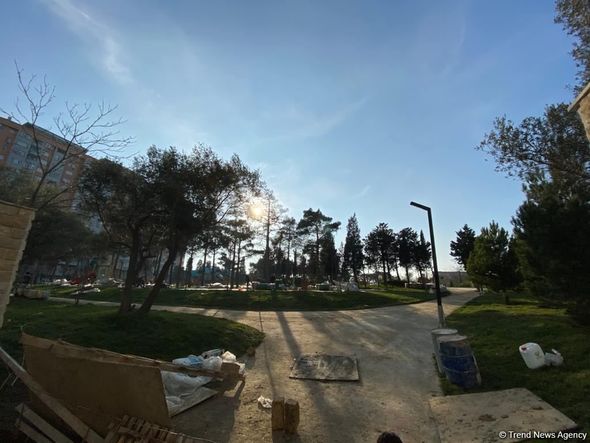 Bakıda salınan yeni parkın 70 faizi meşə zonası olacaq - FOTO