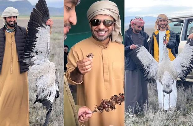IDEA İB-dən ərəb turistlərin Azərbaycanda ov etməsinə MÜNASİBƏT - FOTO 