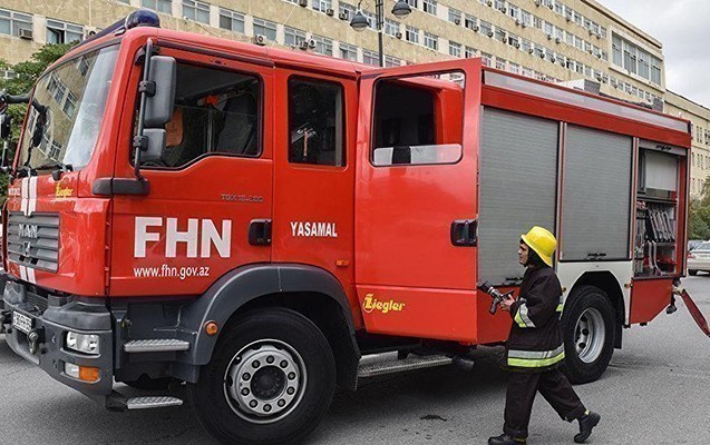 Bakıda ağaclıq sahədə baş vermiş yanğın söndürüldü