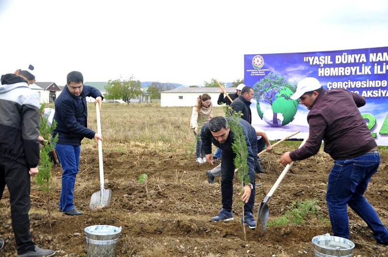 Ağstafada ağacəkmə aksiyaları davam etdirilir - FOTOLAR