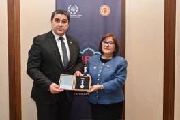 Sahibə Qafarova Gürcüstan parlamentinin sədri ilə görüşüb - FOTO
