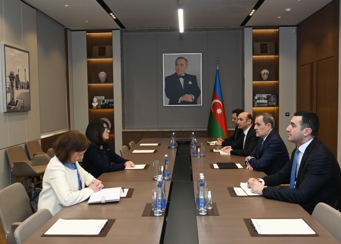 Ceyhun Bayramov Fransa senatoru ilə müzakirə apardı