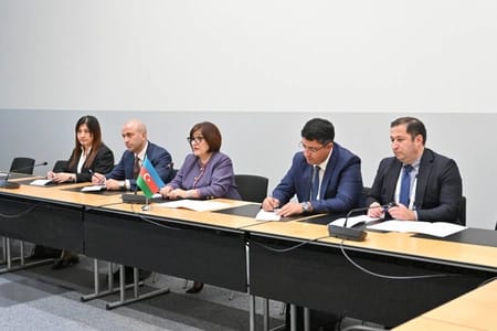 Sahibə Qafarova Cenevrədə Namibiya və Bosniya və Herseqovinanın parlament sədrləri ilə görüşüb