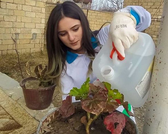 "Könüllülər ili"ndə Azərbaycan gənclərindən xeyirxah təşəbbüs - FOTO