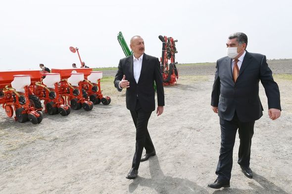 İlham Əliyev pambıq tarlasında səpin prosesini izlədi - YENİLƏNİB+FOTO/VİDEO