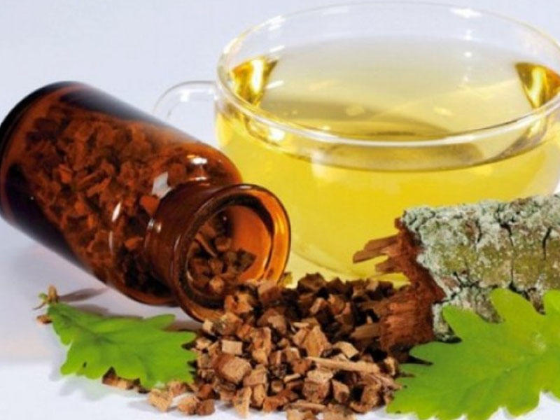 Palıd qabığının bilmədiyiniz faydaları- Yaraları sağaldır, qanaxmanı dayandırır