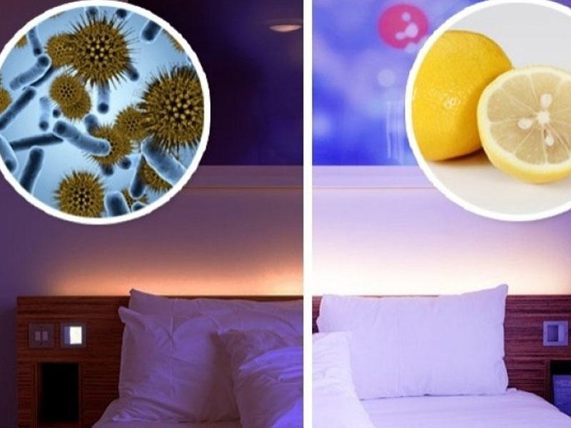 Yastığınızın yanına limon qoysanız... - Qəribə üsul