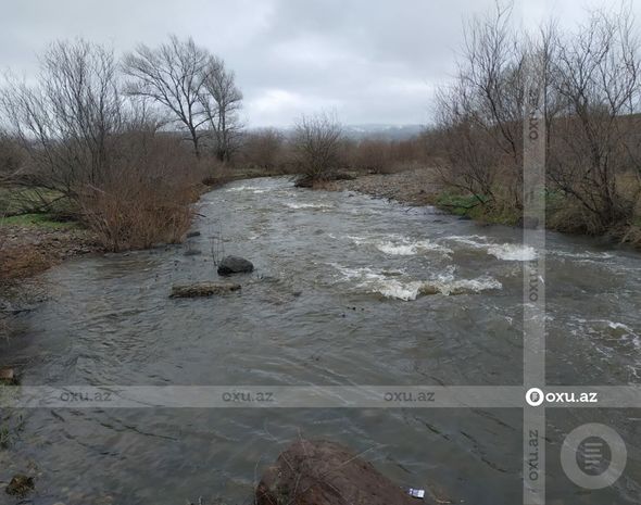 Ermənilər Bəsitçayda çinar ağaclarını məhv ediblər - FOTOREPORTAJ