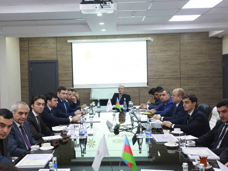 KOBİA yanında İctimai Şuranın fəaliyyətindən bir il ötür - FOTO