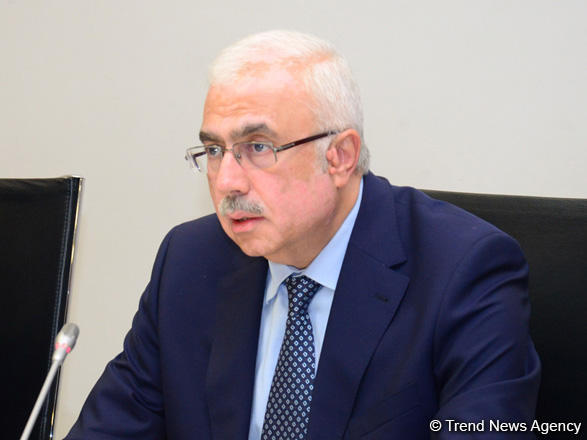 Nazir müavini: "Prezident İlham Əliyevin iqtisadi siyasəti yaxşı nəticələr verir"