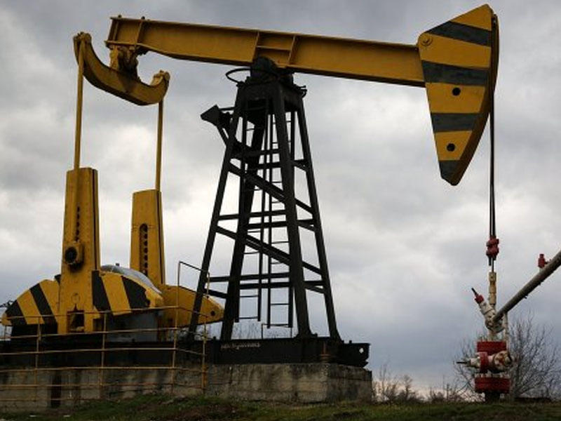 Noyabrda gündəlik neft hasilatı 776 min barrel olub