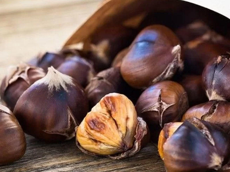 Varikozu təbii yolla müalicə edən, qaraciyər üçün əvəzedilməz olan ŞABALID