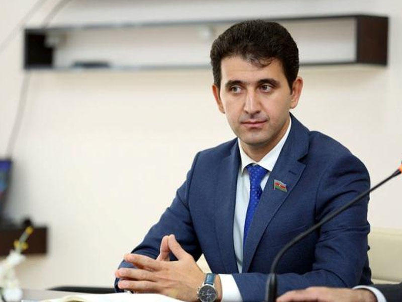 "Davos Forumu Azərbaycan reallıqlarını beynəlxalq ictimaiyyətə təqdim edir"