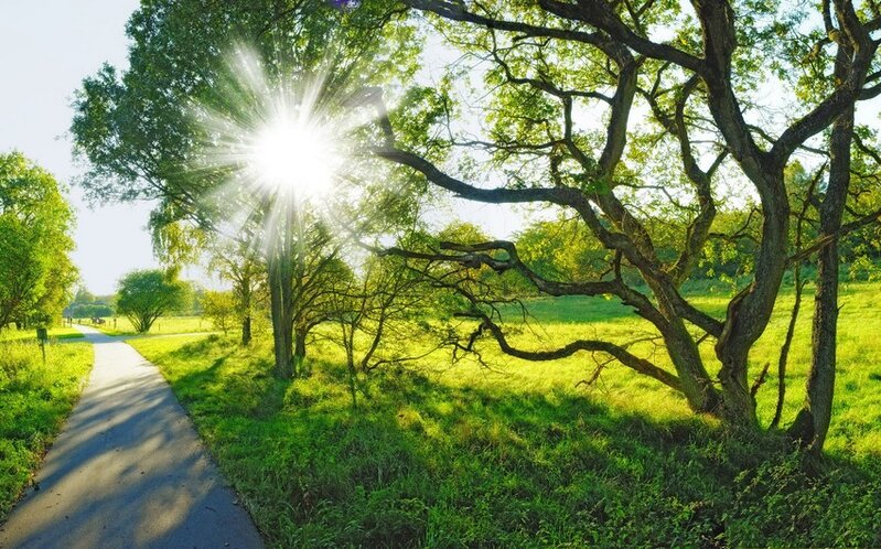 Gün ərzində havanın maksimal temperaturunun qeydə alındığı ərazilər açıqlanıb