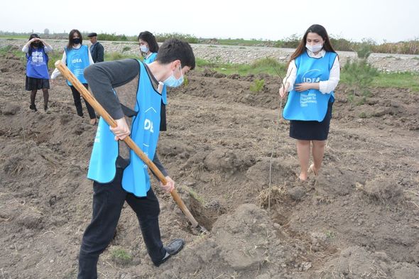 "​​​​​​​Yaşıl Marafon" çərçivəsində növbəti ağacəkmə aksiyaları keçirilib - FOTO