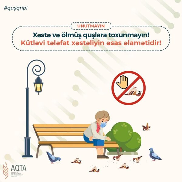 Quş qripi ilə bağlı nələrə diqqət edilməlidir?
