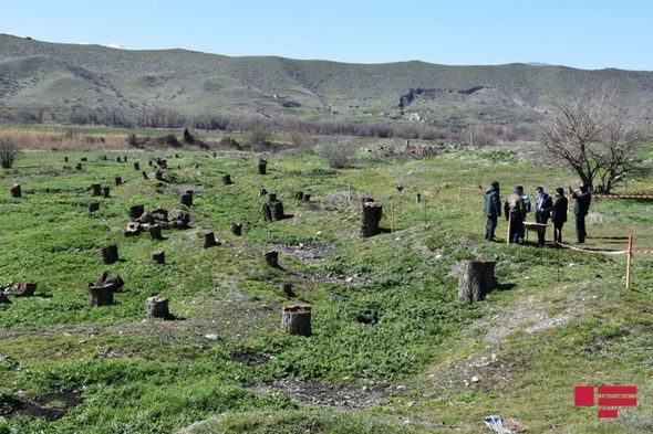 Xarici diplomatlar Qubadlıda düşmənin törətdiyi ekoloji terroru öz gözləri ilə gördülər - FOTO