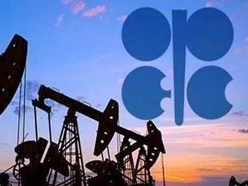 OPEC nazirlərinin hər iki görüşü bir gündə keçiriləcək