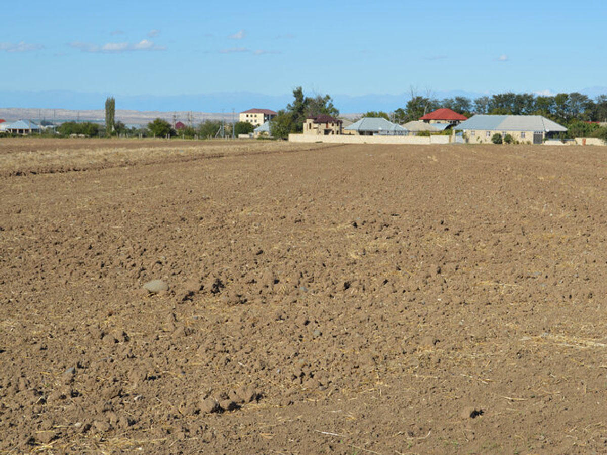 Bakıda adam başına düşən torpaq sahəsi azalır, qiymətlər bahalaşır - Ekspert